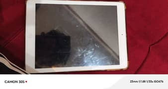 Apple iPad