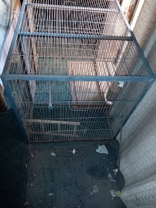 canary bird cage 3