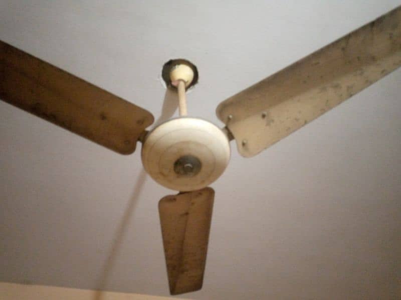 2fan ceiling fan 0