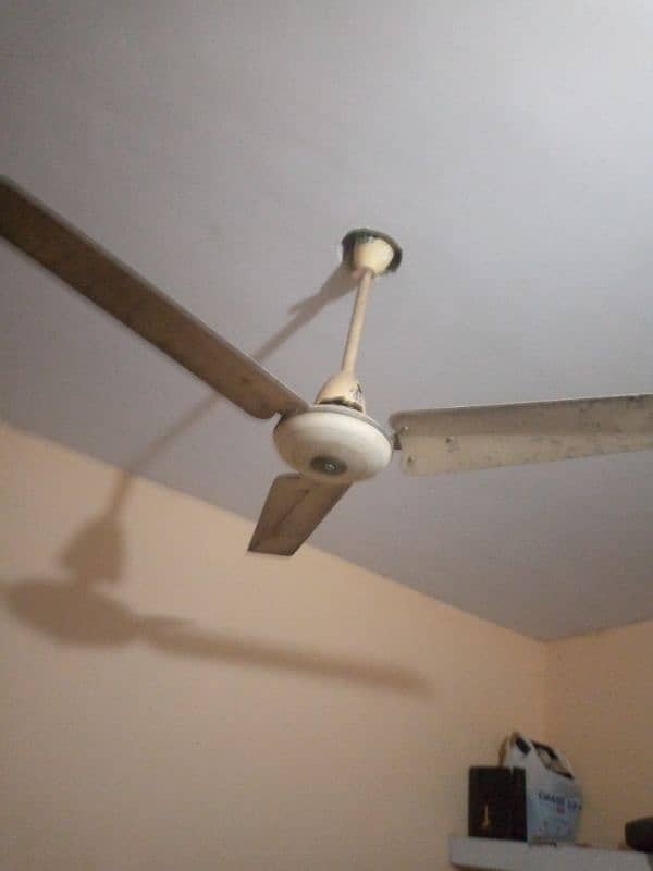 2fan ceiling fan 1