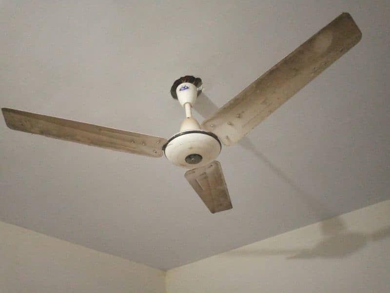 2fan ceiling fan 2