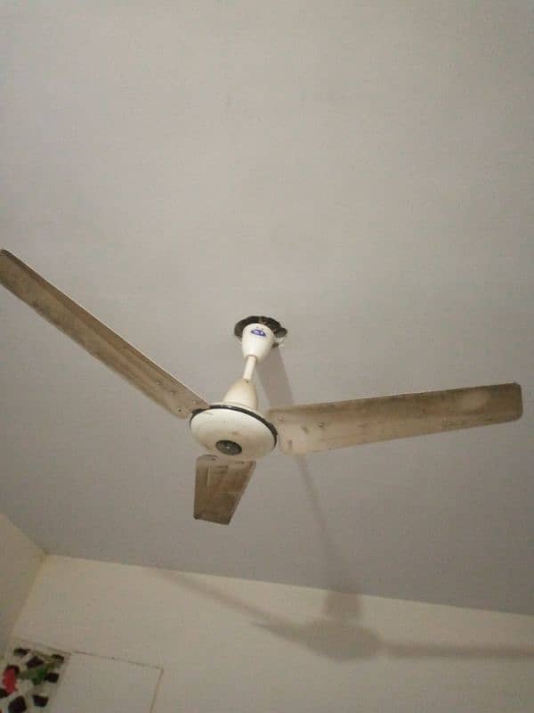 2fan ceiling fan 3