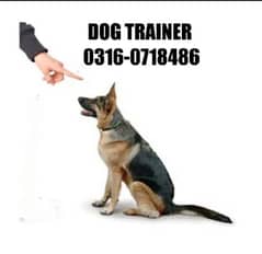 Dog Trainer