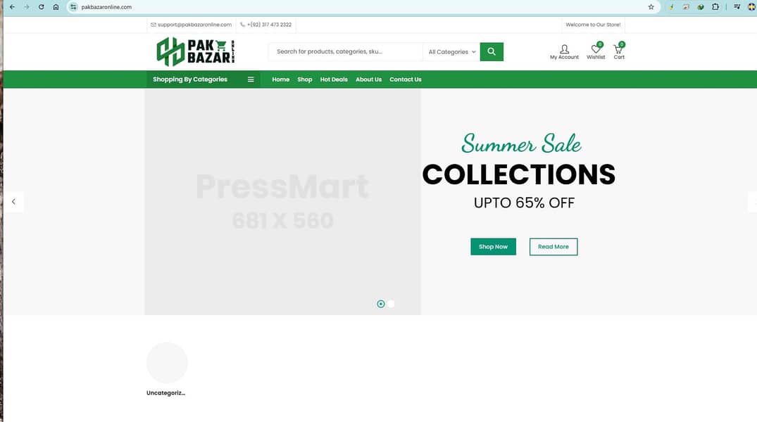 Online Store E Commerce Website E Store with Hosting & Domain 1