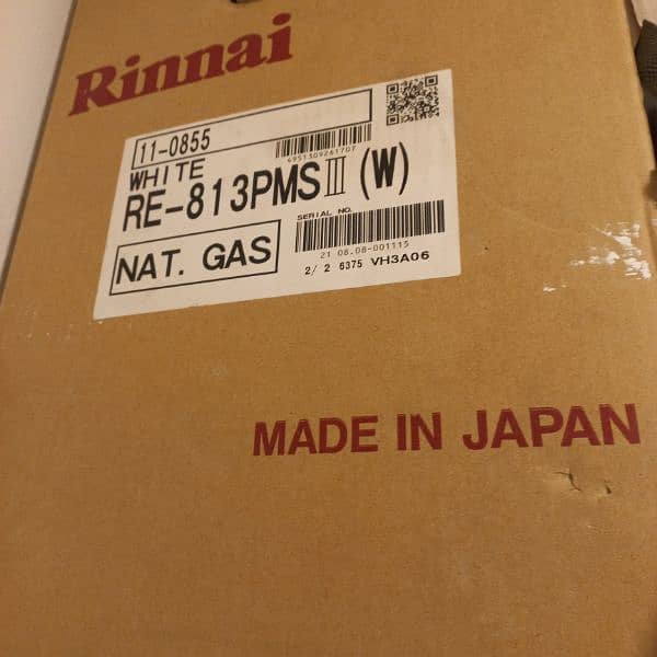 Rinnai gas heater 1