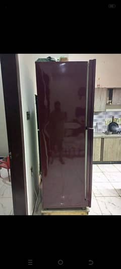 PEL GLASS DOOR REFRIGERATOR