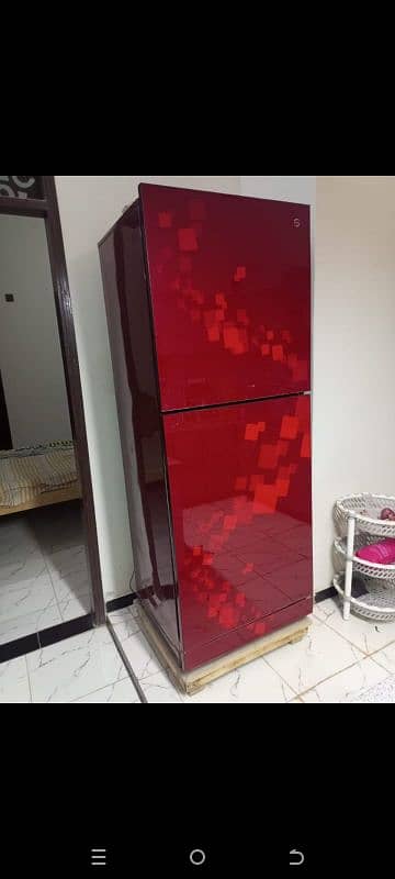 PEL GLASS DOOR REFRIGERATOR 3