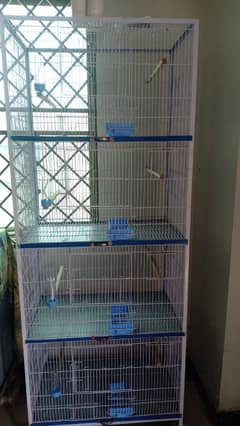 Birds cages