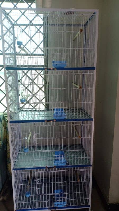 Birds cages 0