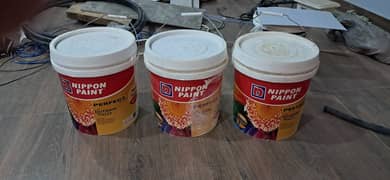 Brand New Nippon Paint Buckets