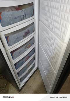 vertical freezer