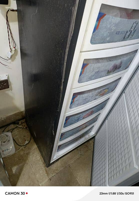 vertical freezer 2