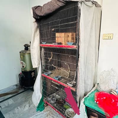Big Cage for sale