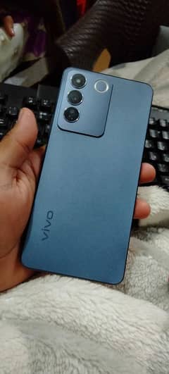 vivo