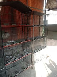 8 portion cages 2