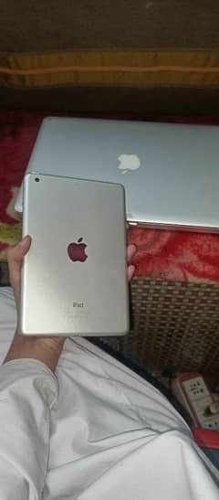 ipad mini 2