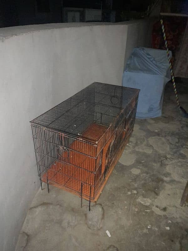 selling cage 4