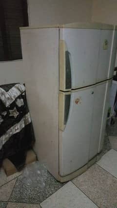 PEL Medium Fridge