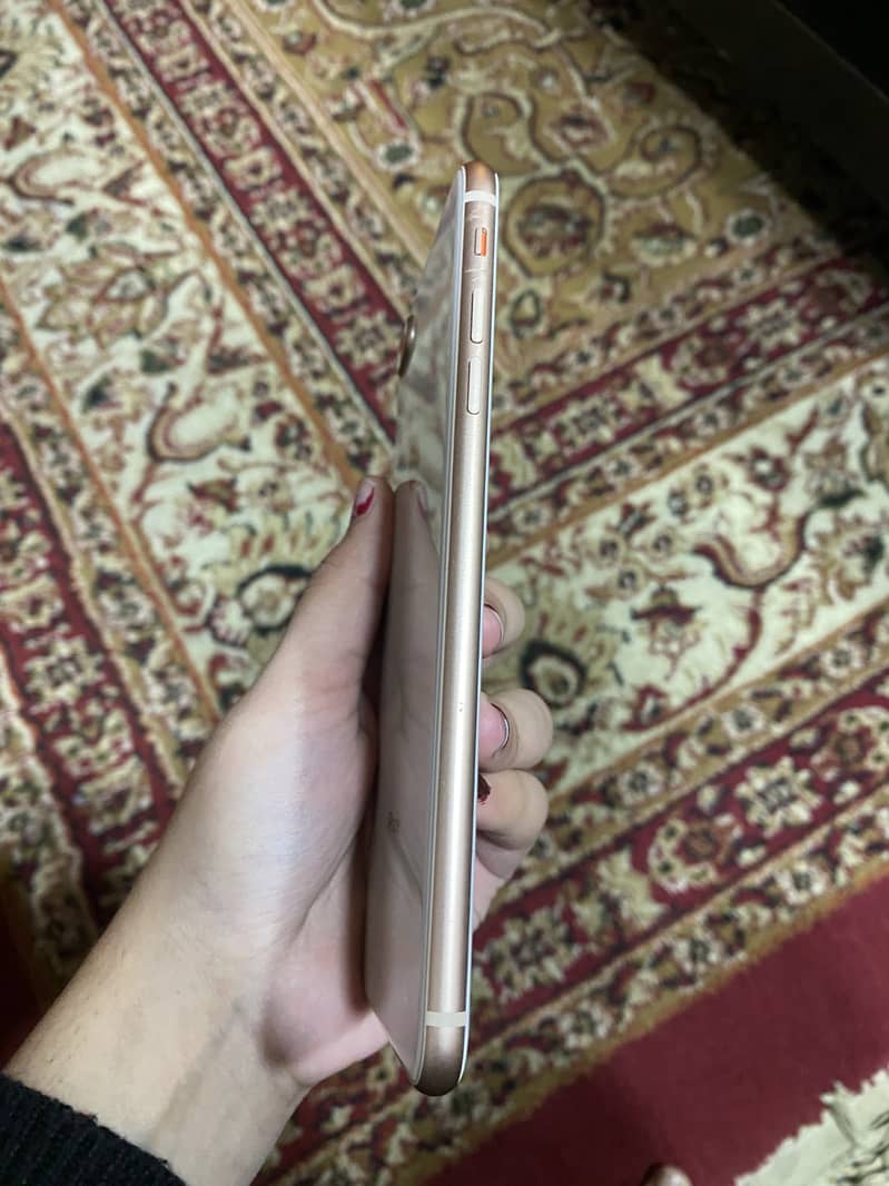 Apple iPhone 8 Plus 1