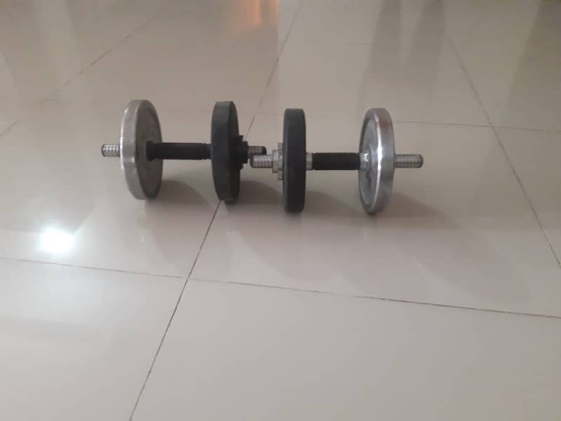 dumbbells 3