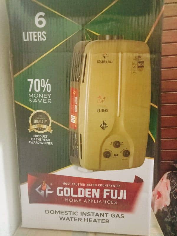 Instant Gas Water heater 1