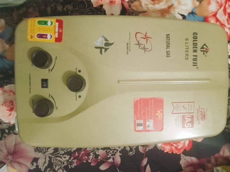 Instant Gas Water heater 0