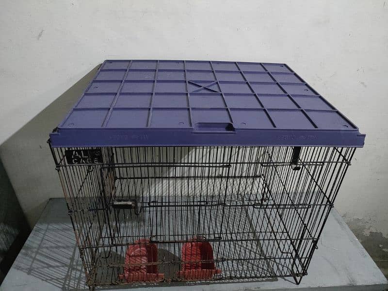 cages for sale 3