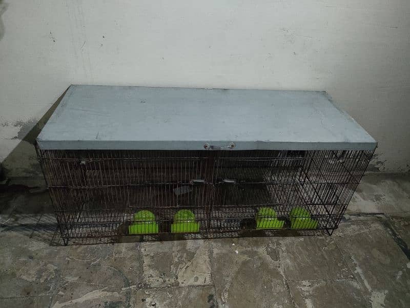 cages for sale 4