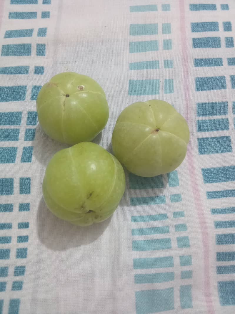 Fresh AMLA 1