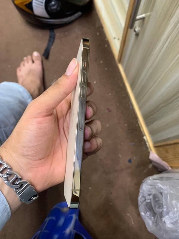 iphone 12 pro max pta approved 1