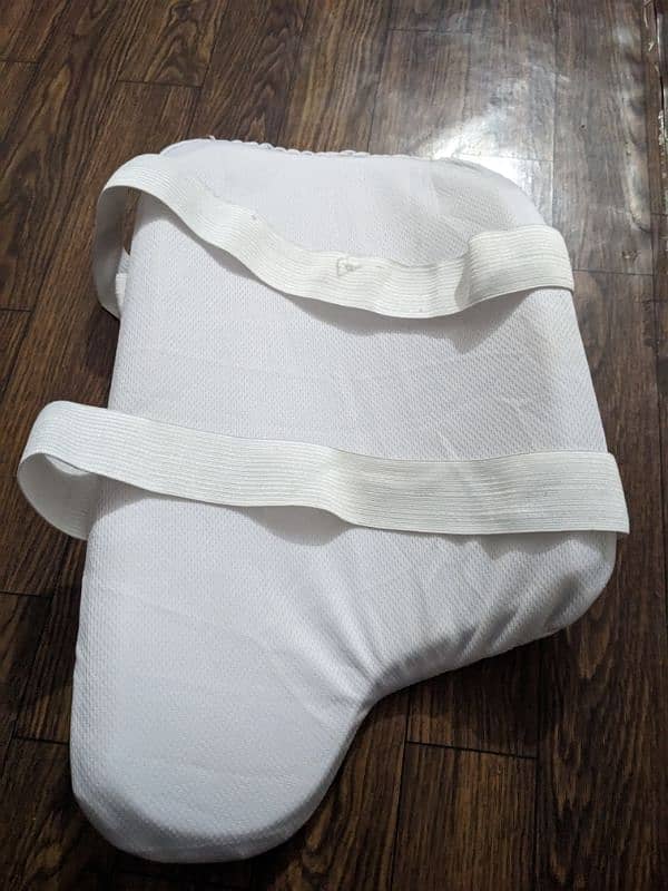 Single thigh pad hai 1