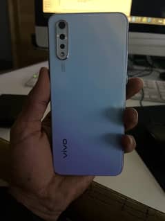 vivo