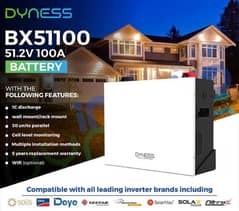 DYNESS LITHIUMION SOLAR BATTERY