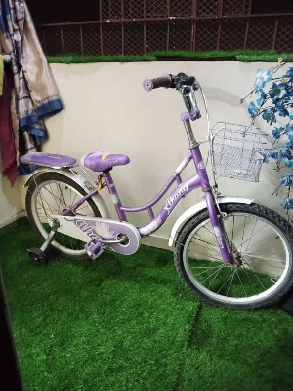 bicycle for girls 0