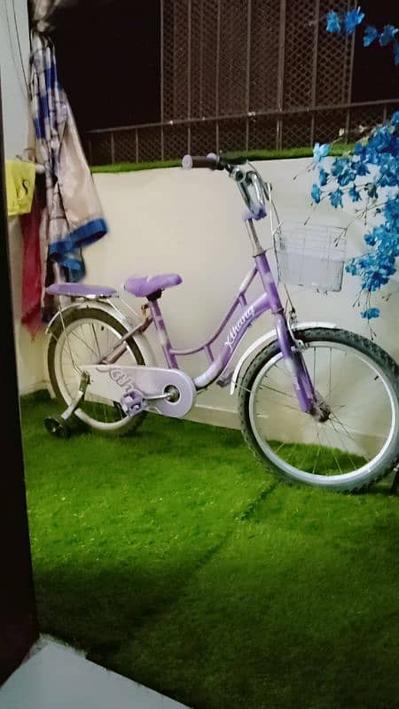 bicycle for girls 1