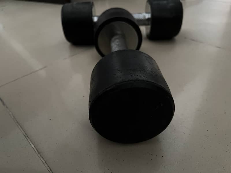 4KG Dumbbell Pair 1