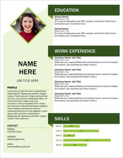 professional cv