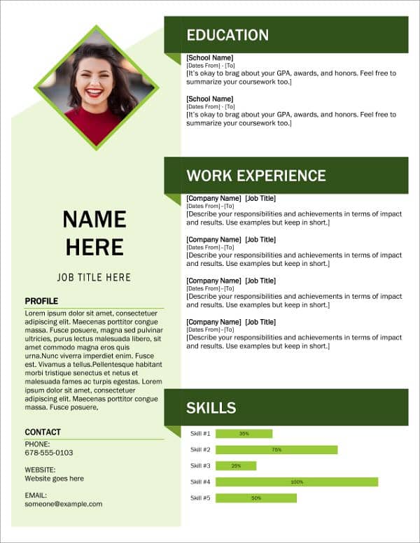 professional cv 0