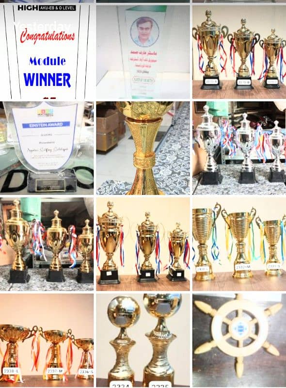 medals awards trophy shields cups customized delivery free 1