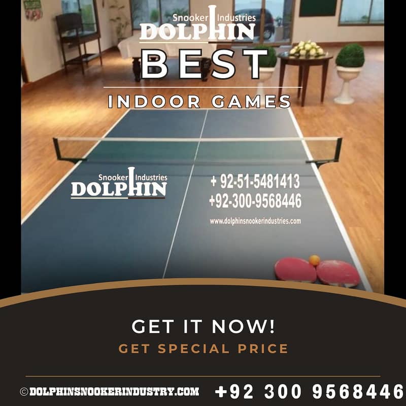 Table Tennis Table\Snooker Table\Dolphin\Pool Table\Billiard Cues 0