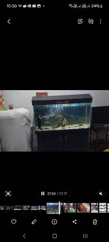 AQUARIUM (URGENT SALE) 0