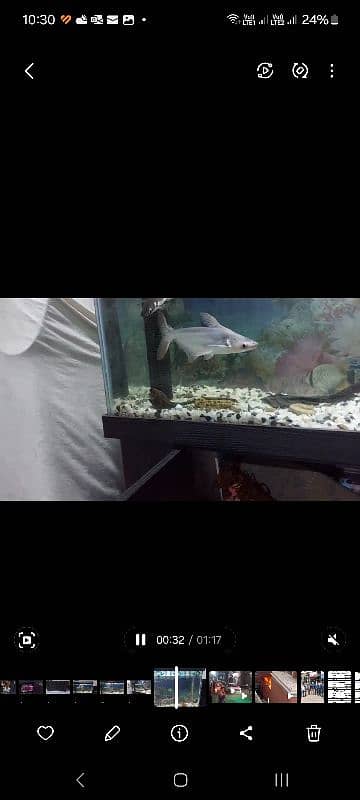 AQUARIUM (URGENT SALE) 4