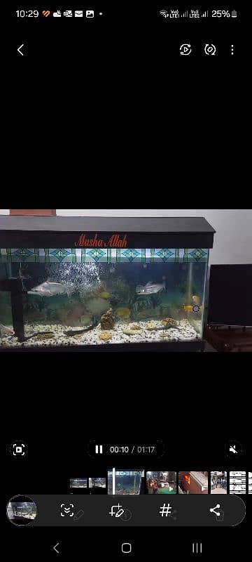 AQUARIUM (URGENT SALE) 6