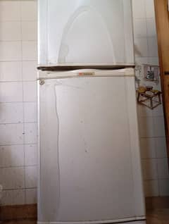 dowlance refrigerator