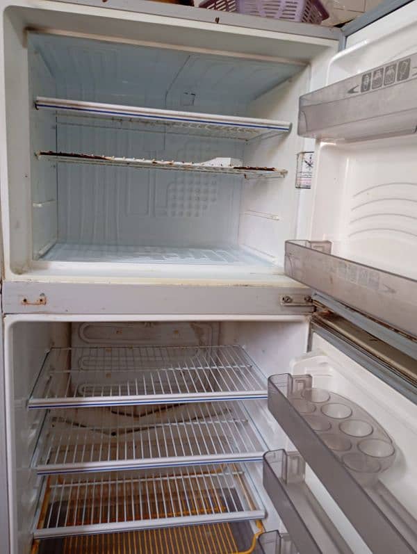 dowlance refrigerator 1