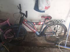 Chicago bicycle for sale urgent