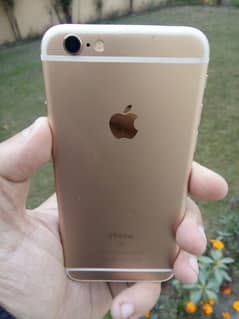 Iphone 6s Pta Approved