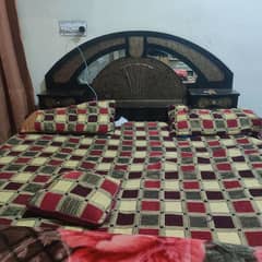 Bed (wooden and new polish) with mattress (gadda)