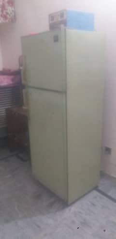 dowlans fridge for sale