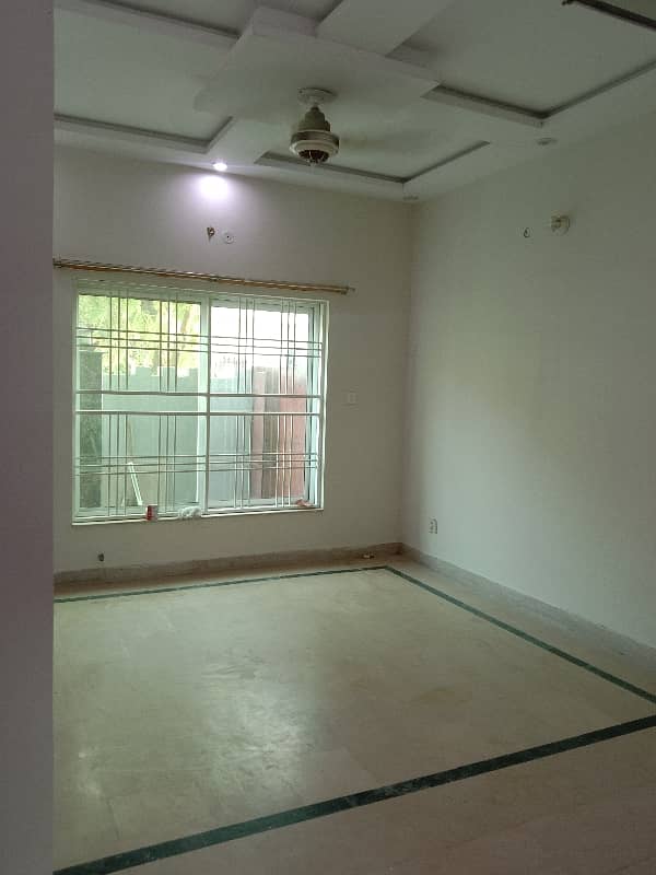 5 Marla Single Storey House For Rent 11